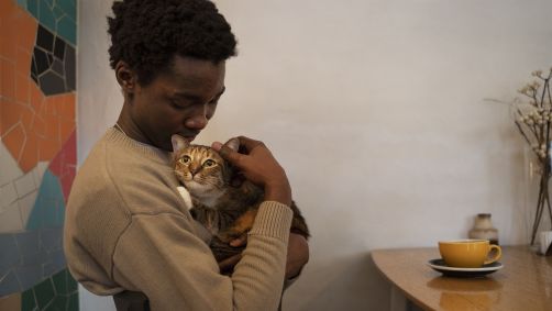 Estudo sugere que ter pets pode promover tanto bem-estar quanto ter uma marido ou uma esposa