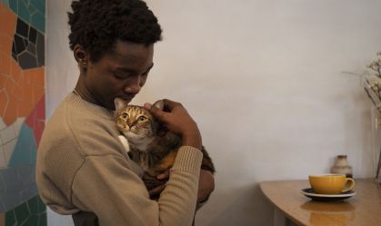 Ter pets pode trazer benefícios equivalentes ao casamento, sugere estudo