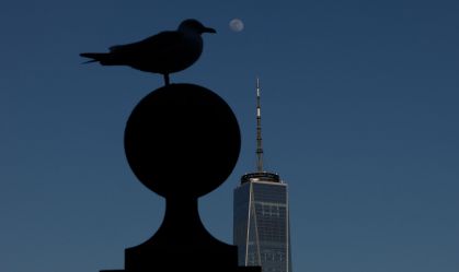 Moonrise in New York City