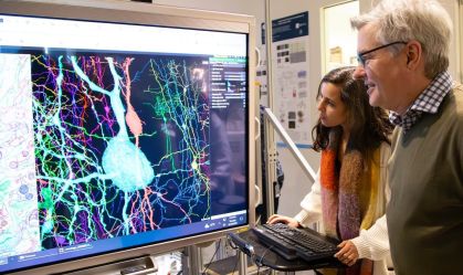 Cientistas revelam avanço em pesquisa cerebral considerado impossível