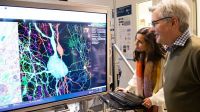 Cientistas revelam avanço em pesquisa cerebral considerado impossível
