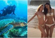 Marina Ruy Barbosa posa com tartaruga marinha em Noronha; veja