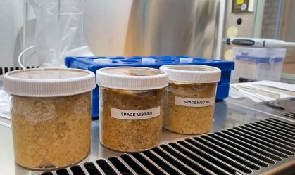 Experimento na ISS faz "missô espacial" com feijões; veja como ficou