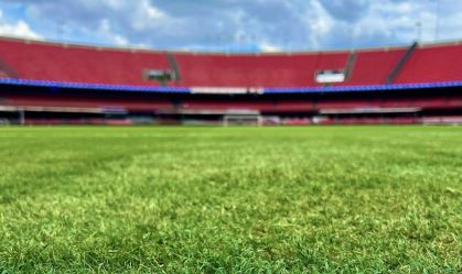 "Completamente descartado", diz diretor sobre gramado sintético no MorumBis