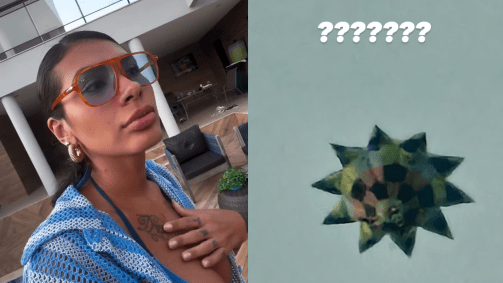 Após observar o suposto Ovni, o grupo supôs de que o objeto devia ser um balão, mas não conseguiram chegar à uma conclusão