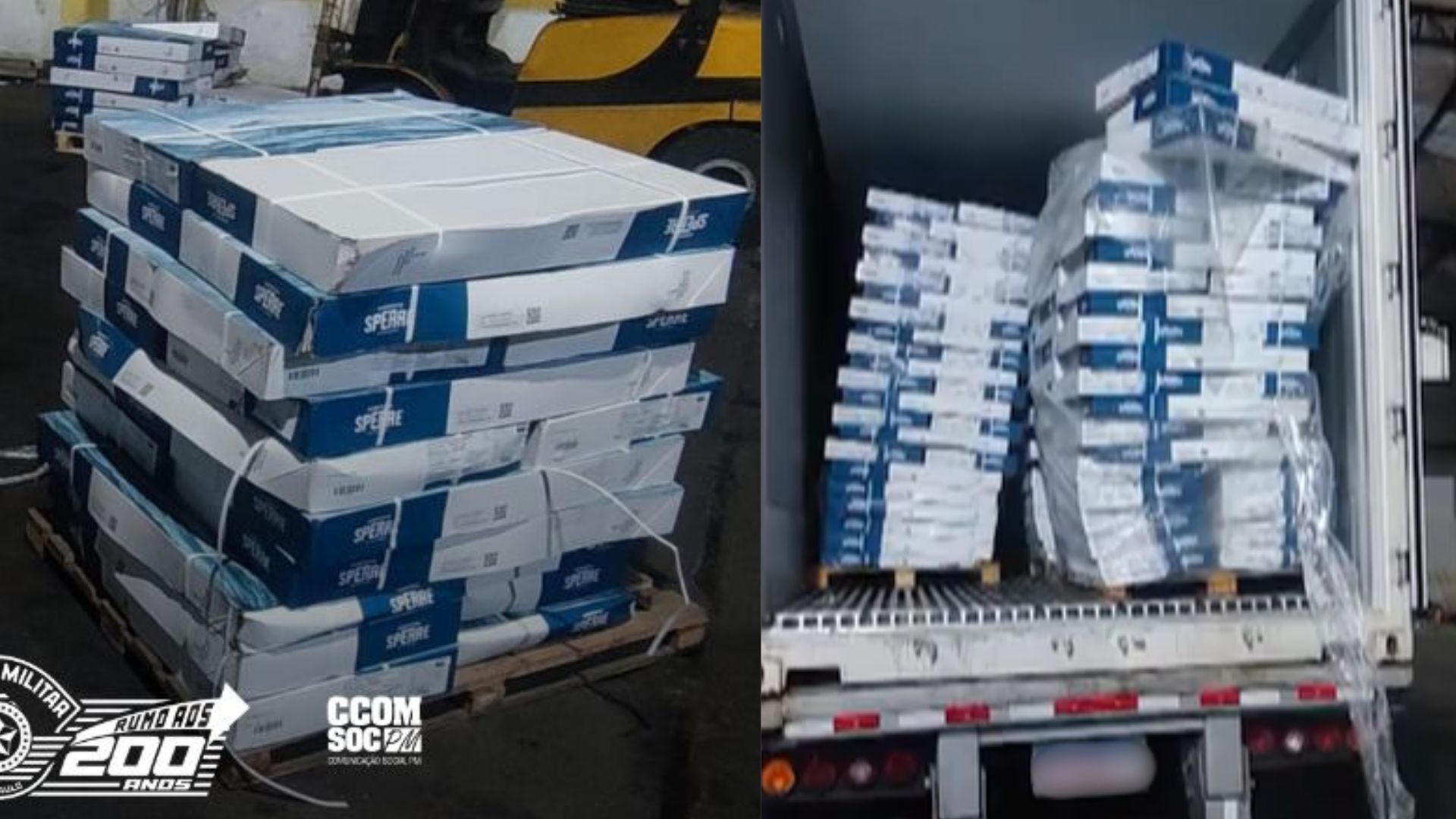 PM prende quadrilha com 25 toneladas de bacalhau roubado no Litoral de SP