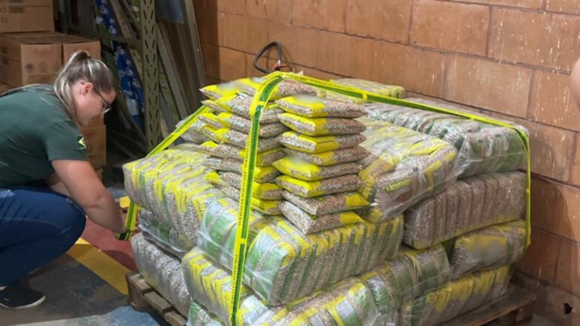 Arroz e feijão fraudados: 32 toneladas são apreendidas no interior de SP