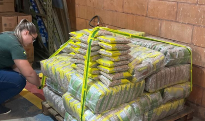 Arroz e feijão fraudados: 32 toneladas são apreendidas no interior de SP