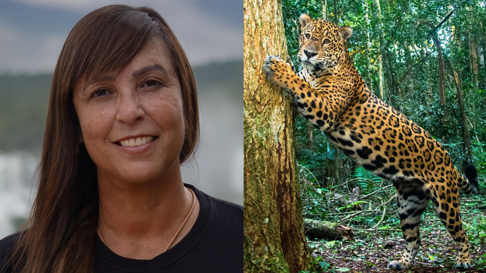 yara-barros-onca