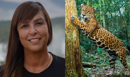 Brasileira ganha Oscar Verde por trabalho com onças-pintadas