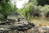Leilão de floresta equivalente a três cidades de SP tem três vencedores