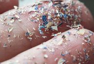 Microplásticos podem afetar a fertilidade de homens e mulheres; entenda