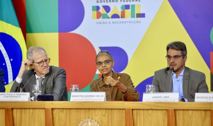 Governo registra queda anual no desmatamento, mas vê pico atípico em abril