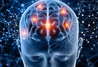 Cérebro do time: a ciência prova que o futebol altera a mente de torcedores