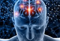 Por que o nosso cérebro divide informações entre os hemisférios? Entenda