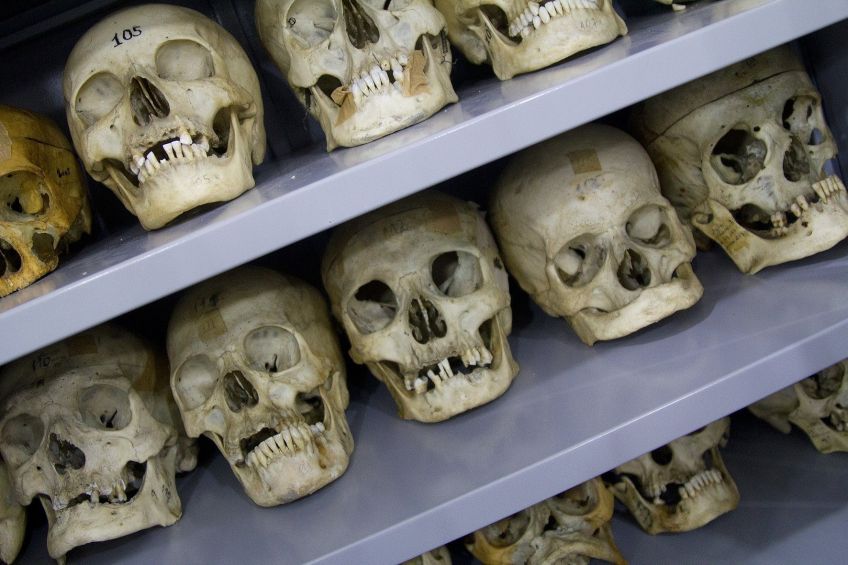 MAH conta com um acervo de mais de 300 peças anatômicas • Marcos Santos/USP Imagens