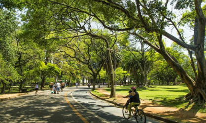 Ibirapuera tem o maior número de visitantes dos últimos cinco anos