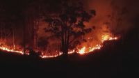 COP30: Ano de 2024 - Recorde global de incêndios em florestas no mundo