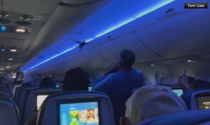 EUA: Pombos invadem cabine de avião da Delta e causam alvoroço