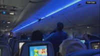 EUA: Pombos invadem cabine de avião da Delta e causam alvoroço