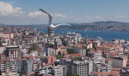 Vídeo: Gaivota persegue drone em Istambul