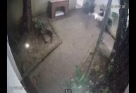 Jovem baleado por delegado em Fernando de Noronha teve perna amputada