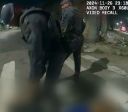 Vídeo: PM orienta colega a virar câmera em ação com morte em SP
