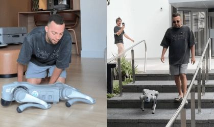 Quanto custa um cachorro-robô, como o de Lucas Rangel?