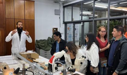 Herbário da USP preserva mais de 270 mil espécies
