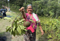 Projeto refloresta áreas degradadas na Amazônia