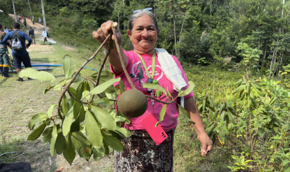 Projeto refloresta áreas degradadas na Amazônia