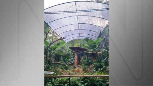 Tela de proteção instalada no Parque das Aves, em Foz do Iguaçu