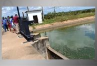 Homem pula em canal para fugir de ataque de abelhas, mas morre afogado