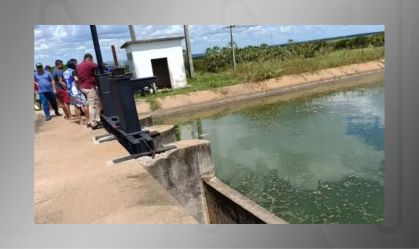 Homem pula em canal para fugir de ataque de abelhas, mas morre afogado