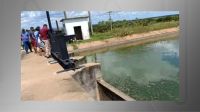 Homem pula em canal para fugir de ataque de abelhas, mas morre afogado