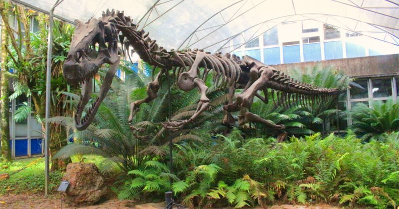 Museu de Geociências da USP disponibiliza tour virtual • Divulgação