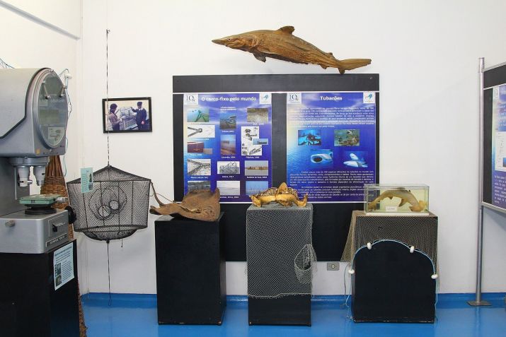Museu Oceanográfico tem o objetivo de difundir a ciência dos oceanos e as pesquisas desenvolvidas pelo Instituto Oceanográfico • Marcos Santos/USP Imagens