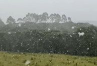 Frente fria: neve é registrada em cidades da Serra Gaúcha; veja imagens