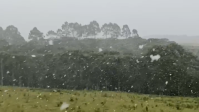 Frente fria: neve é registrada em cidades da Serra Gaúcha; veja imagens