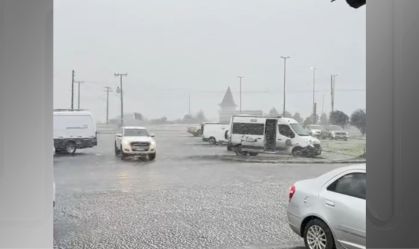 Neve sul
