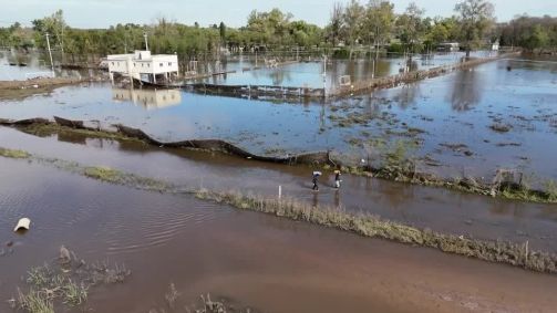 Plantação atingida pelas chuvas na Argentina