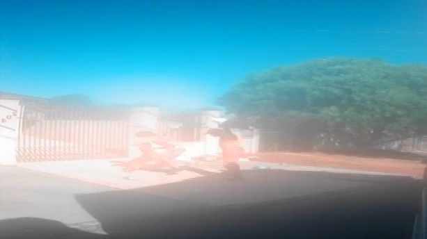 Vídeo: coletores de lixo são atacados por pitbull no Paraná