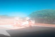 Vídeo: coletores de lixo são atacados por pitbull no Paraná