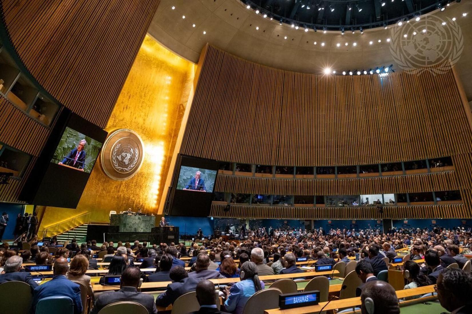 Lançamento do RDH 2023/2024 • ONU Brasil