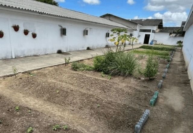 Imagem de destaque do post: Collor está em sala com ar-condicionado, cama e banheiro privativo