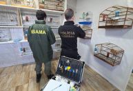 Cinco são presos durante operação contra tráfico internacional de animais