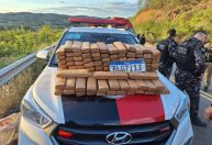 Caminhão tomba com grama sintética e revela "campo de maconha" na Paraíba