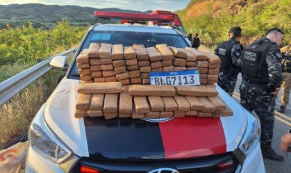 Caminhão tomba com grama sintética e revela "campo de maconha" na Paraíba