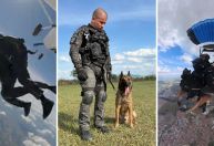 Cão da PM de SP faz história ao saltar de paraquedas em treinamento