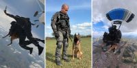 Cão da PM de SP faz história ao saltar de paraquedas em treinamento